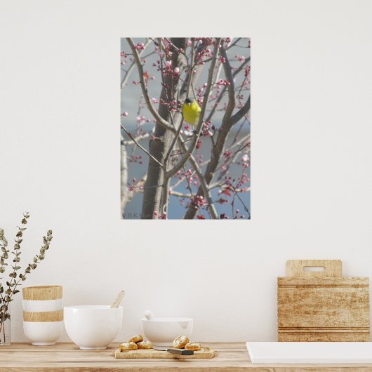 Poster - Gele vink in Cherry tree (Keuken)