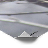 Poster - Gele vogel in bijkantoren (Hoek)