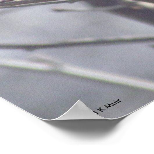 Poster - Gele vogel in bijkantoren (Hoek)