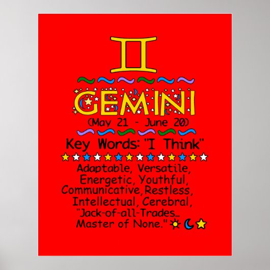 Poster GEMINI (Voorkant)
