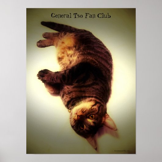 Poster - General Tso Fan Club (Voorkant)