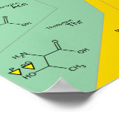 Poster GeneticCode aminozuren codons (Hoek)