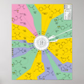 Poster GeneticCode aminozuren codons (Voorkant)