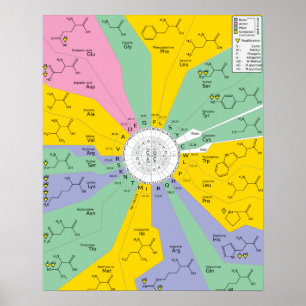 Poster GeneticCode aminozuren codons