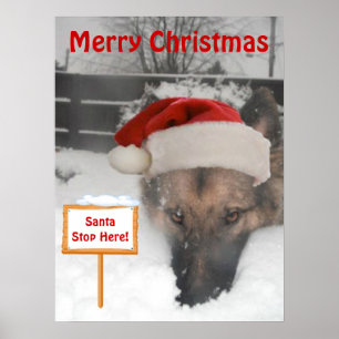 Poster German Shepherd Santa Stop Hier Sign