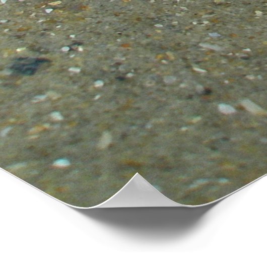 Poster Gestrande kwal (Hoek)