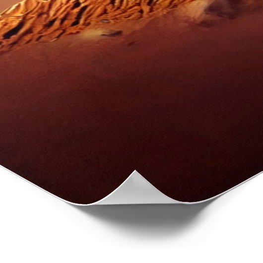 Poster Giant insect (Hoek)