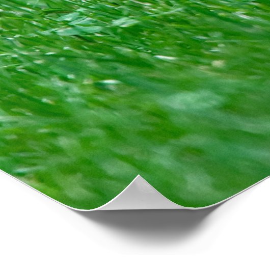 Poster Gigantic Red Fox (Hoek)