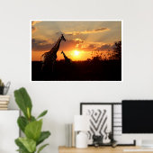 Poster Giraffes op een Afrikaanse zonsondergang (Thuiskantoor)