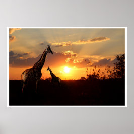 Poster Giraffes op een Afrikaanse zonsondergang