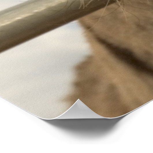 Poster glimlachen (Hoek)