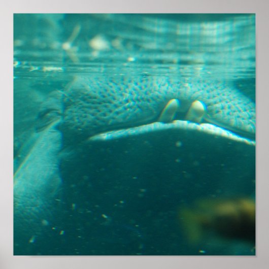 Poster glimlachen (Voorkant)