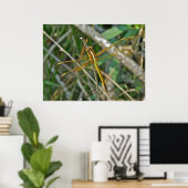 Poster Golden Meadowhawk (Sympetrum) Dragonfly (Thuiskantoor)