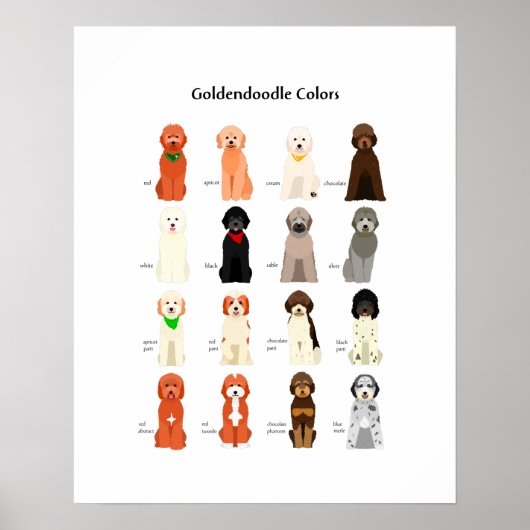 Poster Goldendoele kleuren (Voorkant)