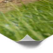 Poster Golf Course Florida (Hoek)