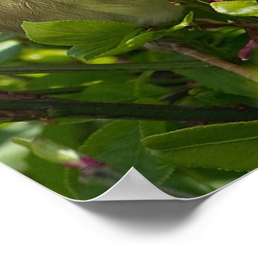 Poster - Good Morning Sunshine - Vogel in Struik (Hoek)