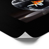 Poster-goudvis Poster (Hoek)