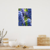 Poster - Graanhyacinth (Keuken)