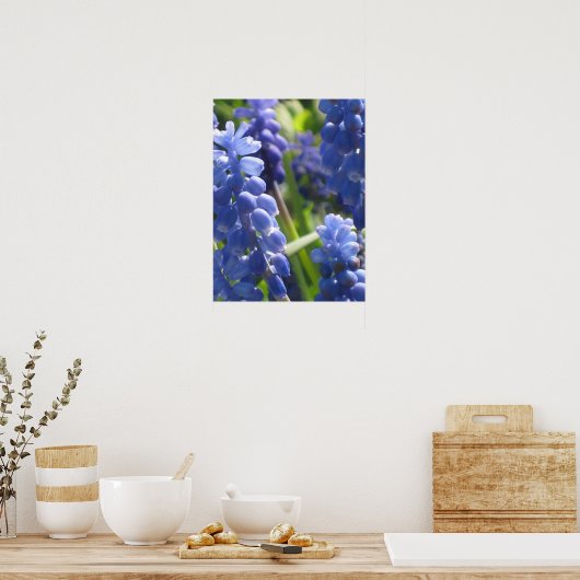 Poster - Graanhyacinth (Keuken)