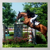 Poster Grand Prix Horse (Voorkant)