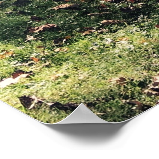 Poster Graveyard Scene (Hoek)