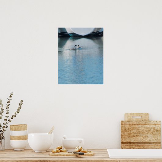 Poster - Grebes on Calm Harbour (Keuken)