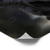 poster grenscollie (Hoek)