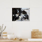 poster grenscollie (Keuken)