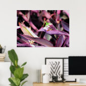 Poster - Groene sprinkhaan in Paars Plant (Thuiskantoor)