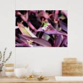 Poster - Groene sprinkhaan in Paars Plant (Keuken)