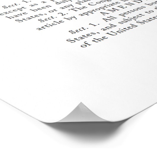 POSTER grondwetswijzigingen VS (Hoek)