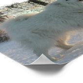 Poster Grote Pyreneeën (Hoek)