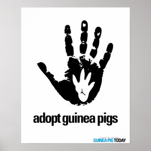 Poster Guinee - Varkens vandaag aannemen