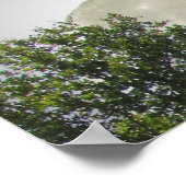 Poster - Gymnasten streven hoog (Hoek)