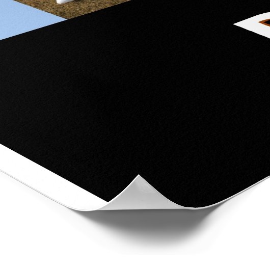 Poster handelaar Bijgewerkt in 2007 (Hoek)