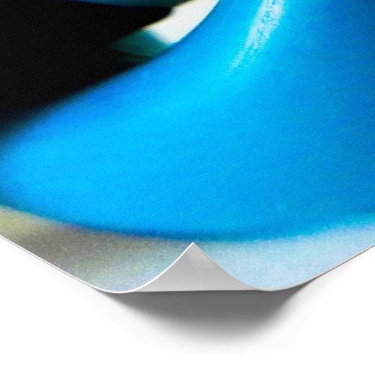 Poster haring (Hoek)