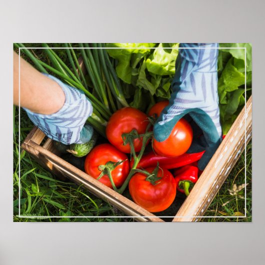 Poster-Harvest Poster (Voorkant)