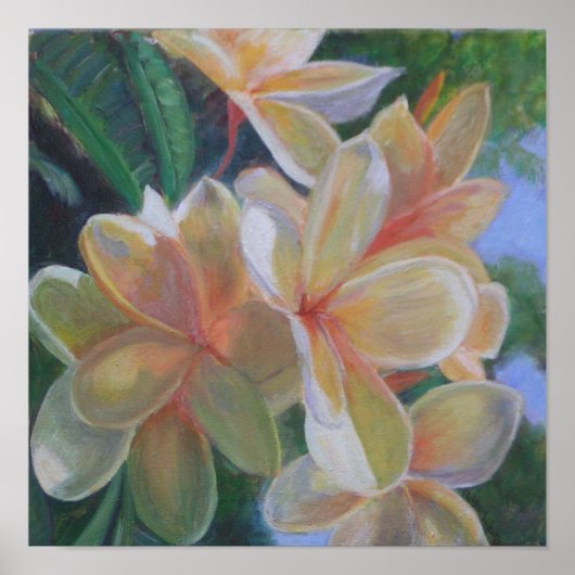 POSTER HAWAÏAN FLOWERS (Voorkant)