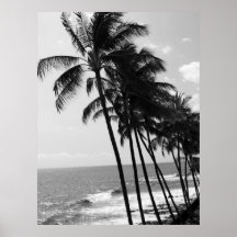 Poster Hawaii Palm Trees