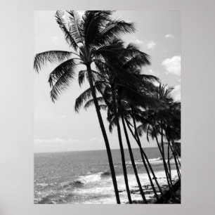 Poster Hawaii Palm Trees