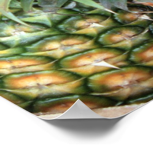 Poster Hawaiiaanse anananas (Hoek)