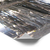 Poster Hawaiian Banyan Tree (Hoek)