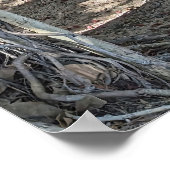 Poster Hawaiian Banyan Tree (Hoek)