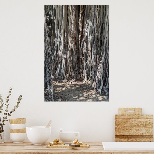 Poster Hawaiian Banyan Tree (Keuken)
