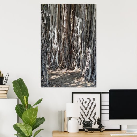 Poster Hawaiian Banyan Tree (Thuiskantoor)