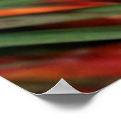 Poster Hawaiian Heliconia Flowers (Hoek)