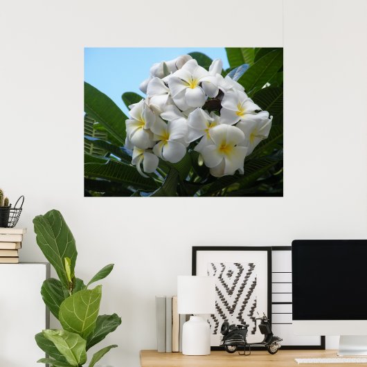 Poster Hawaiian Plumeria (Thuiskantoor)