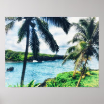 Poster Hawaiian Scene