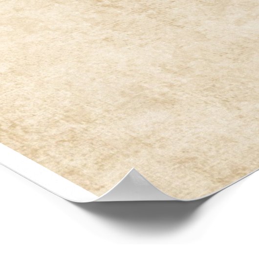 Poster Healing Scripts (Hoek)