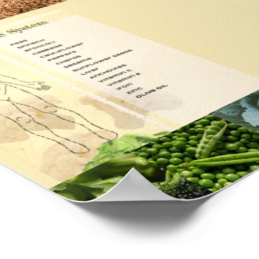 Póster Healthy Inmune System Poster (Hoek)